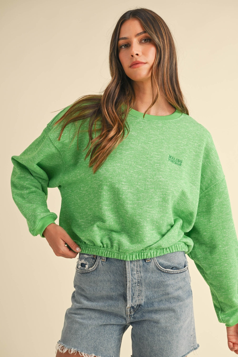 Mable Vintage in Malibu Letter Embroidery Crop Sweatshirt in Apple Green