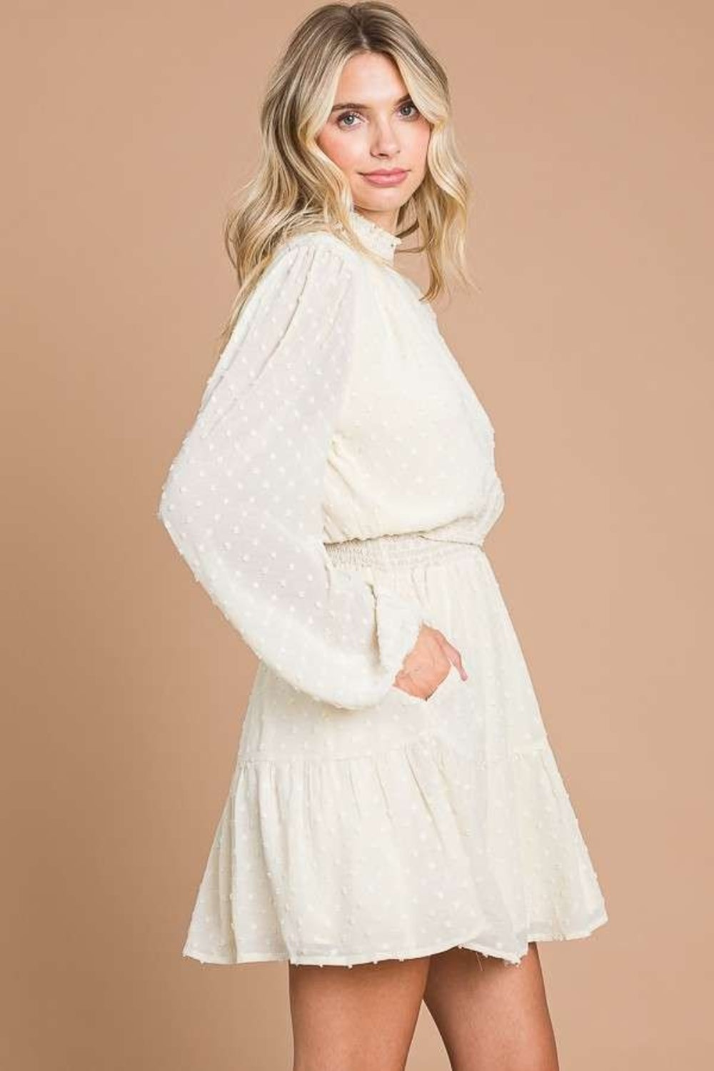 Culture Code Excuse My French Swiss Dot Smock Neck Mini Dress with Pockets