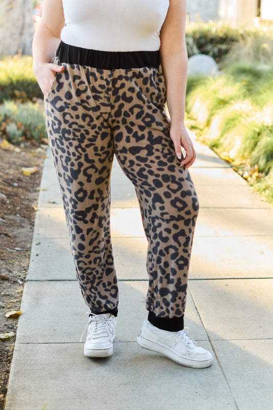 Celeste Design Take It Easy Contrast Sweatpants in Mocha Leopard