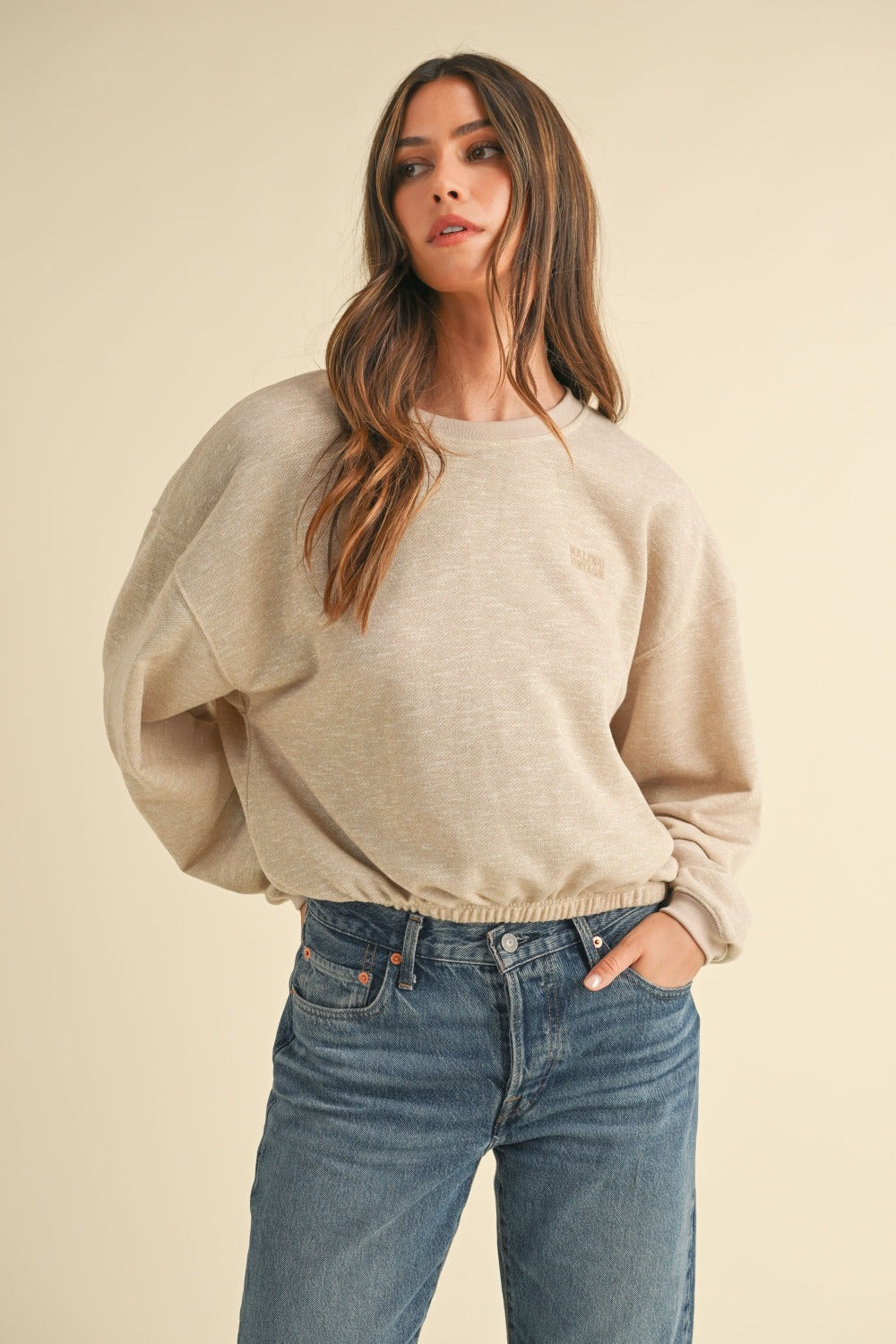 Mable Vintage in Malibu Letter Embroidery Crop Sweatshirt in Taupe