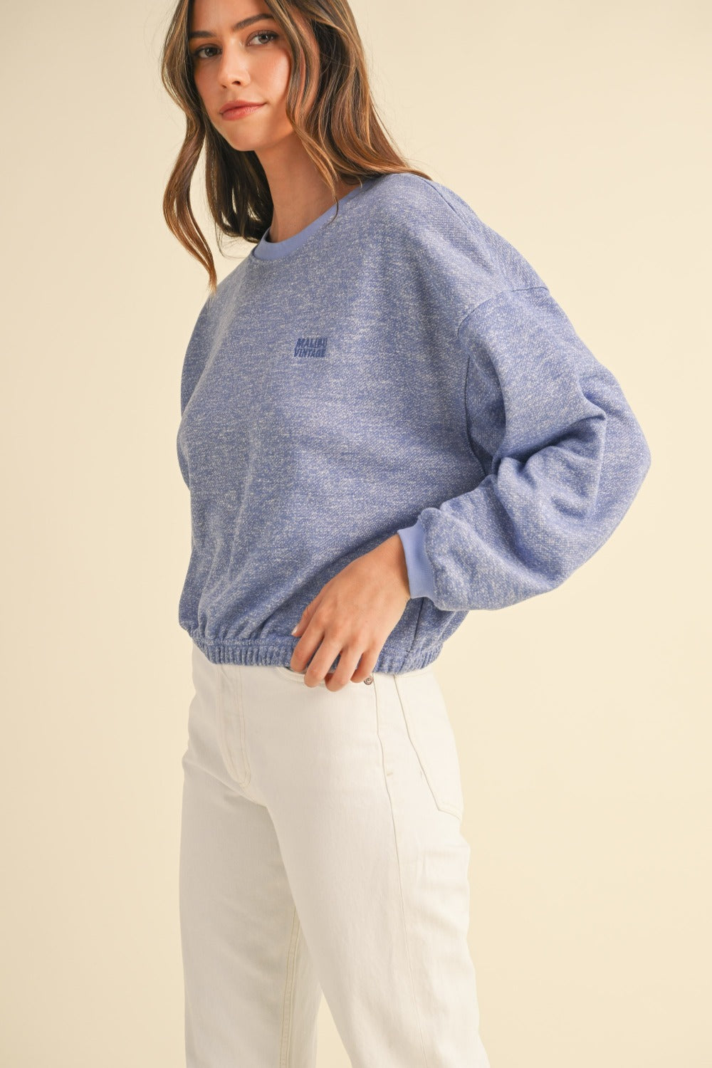 Mable Vintage in Malibu Letter Embroidery Crop Sweatshirt in Blue Purple