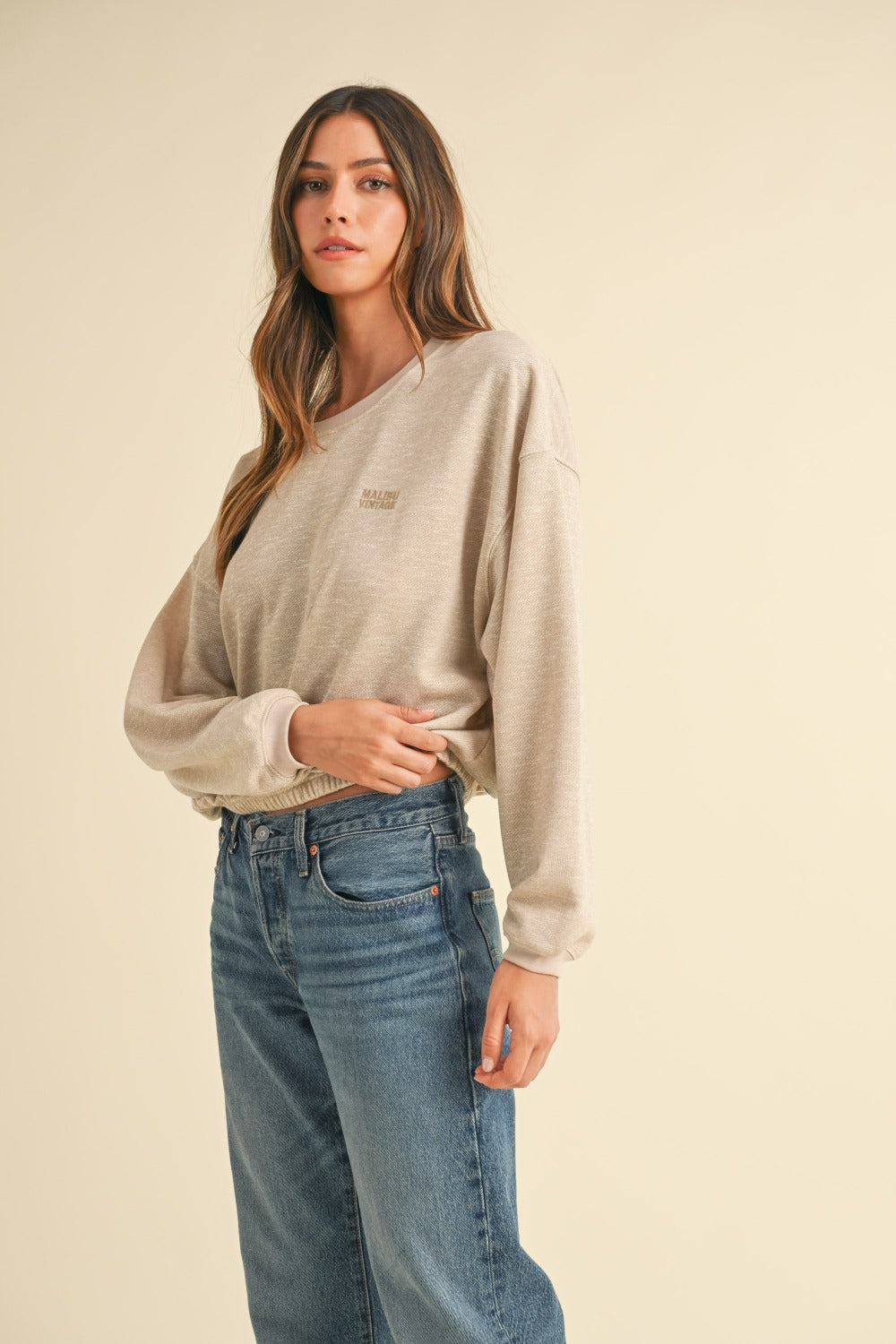 Mable Vintage in Malibu Letter Embroidery Crop Sweatshirt in Taupe