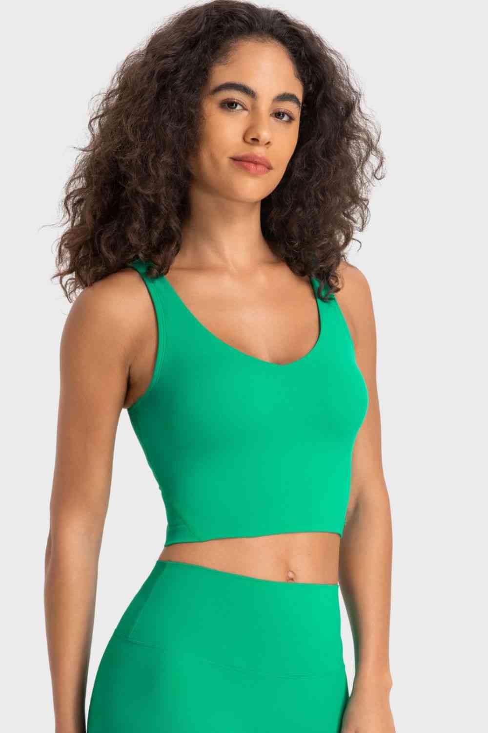 Cherished Deep V-Neck Crop Sports Bra