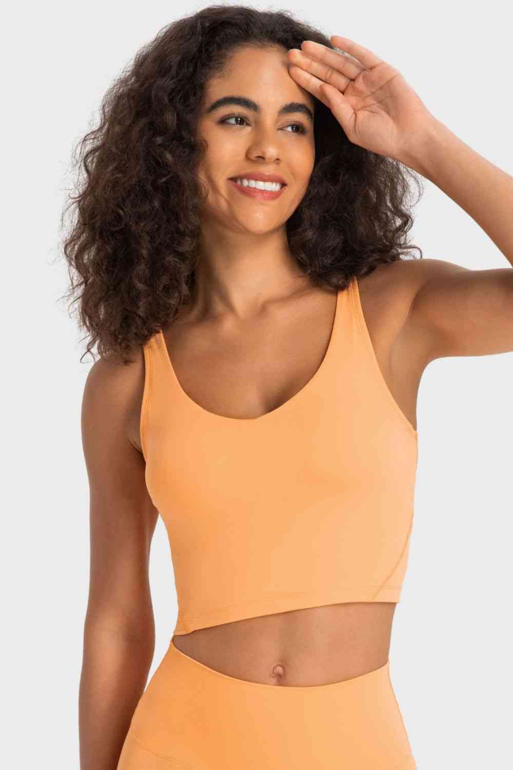 Cherished Deep V-Neck Crop Sports Bra