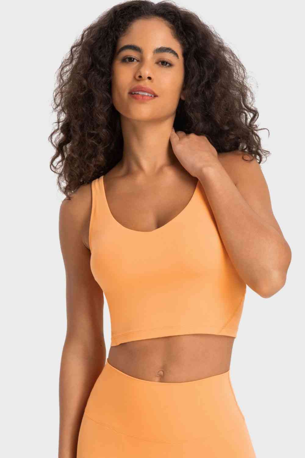 Cherished Deep V-Neck Crop Sports Bra