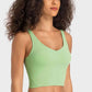 Cherished Deep V-Neck Crop Sports Bra