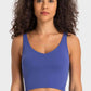 Cherished Deep V-Neck Crop Sports Bra