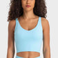 Cherished Deep V-Neck Crop Sports Bra